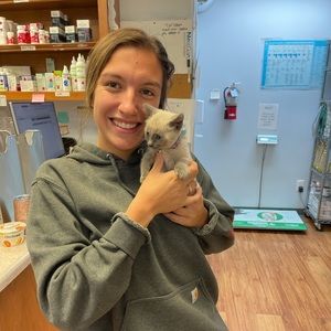 Meet your Posher, Elodie